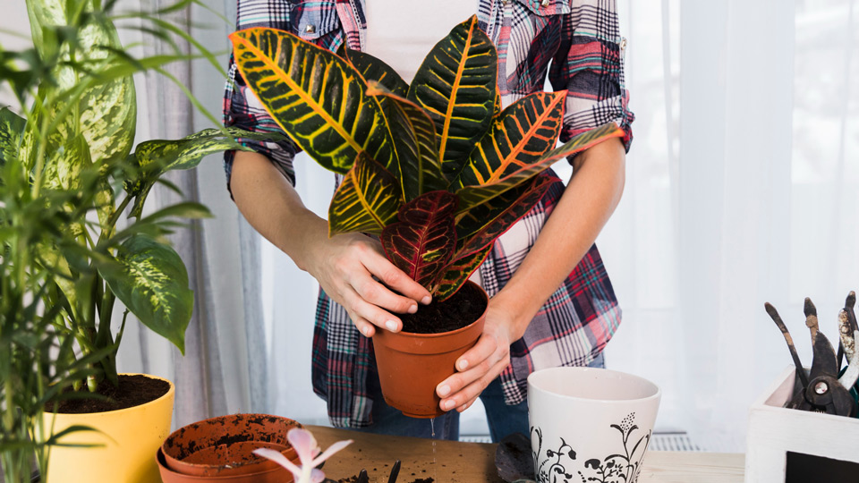 verano en casa decoracion